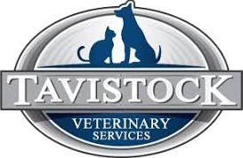 Tavistock Veterinary Services